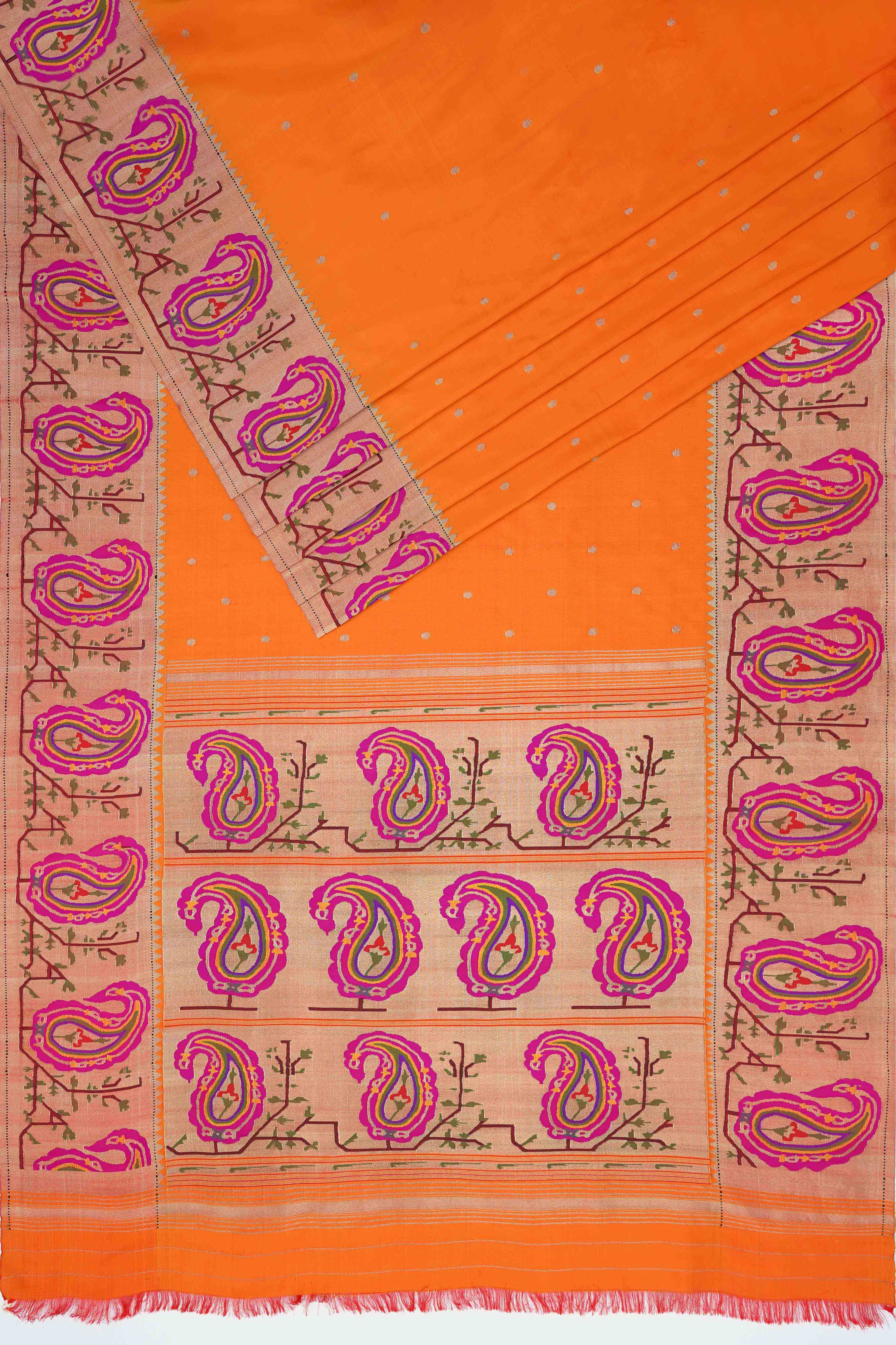 Paithani Grace